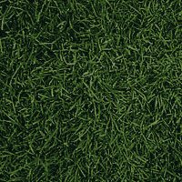 NCAA Football (@ncaa_fb) 's Twitter Profile