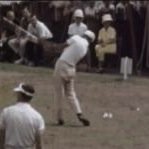 svsvincenzo's profile picture. Golf deprived