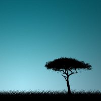 태문후 (@krpriruyo) 's Twitter Profile Photo