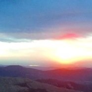 trevdabewwhite's profile picture. 