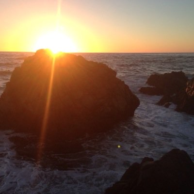 naturalist, rationalist, my thoughts are my own, RT's are endorsements