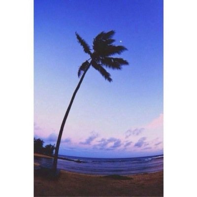.انا حاجه منتهيه صلاحيتها.