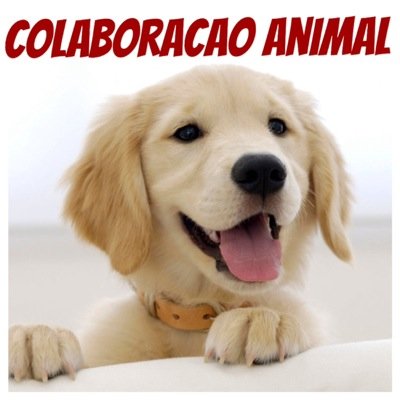 YoshieAkemi's profile picture. 