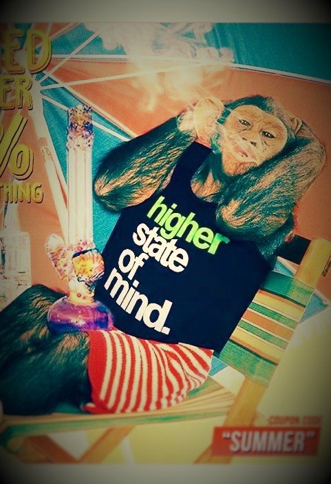 The_Rez_OGKing's profile picture. Hey this is my BIO i am Gavin King i grew up on two first nation reserves in Ontario and i hope this will make socializing to other people better.