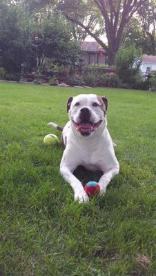 demariere's profile picture. The most dangerous risk of all - the risk of spending your life not doing what you want on the bet you can buy yourself the freedom to do it later.