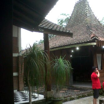 ferrygoen's profile picture. 