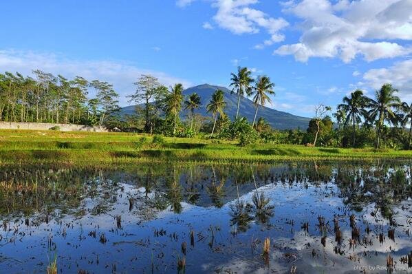 OfficialSaatrio's profile picture. Aji Satrio Nugroho | SMA Kesatrian 2 Semarang | Leader of Photography Kesatrian 2