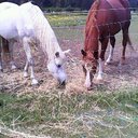 Angel Olson - @Angel_Olson1234 - Twitter