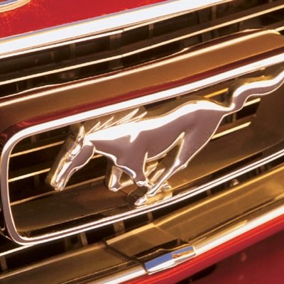 Mustangs_R_Us's profile picture. 