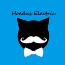 Cory Luker - @HoedusElectric - Twitter