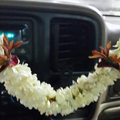 hi96cam99's profile picture. 