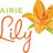The Prairie Lily