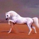 ابوعبدالعزيز (@22__fahad) Twitter