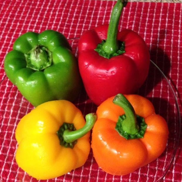 emptynest_annie's profile picture. Countrylife Blogger, Empty Nester, amateur cook,  photographer, horsewoman...amateur everything actually