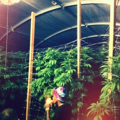 WizdomQuotess's profile picture. Parody account.