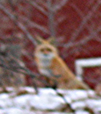 bugpath's profile picture. I spend my time exploring forests and urban landscapes. Consumed by data.