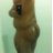 salip1995's profile image