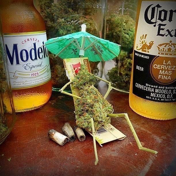 Mi vida se basa en un estado aleatorio, la vivo como quiero y a donde el viento me lleve, ¿No te gusta? Entonces fumate un RE PORRO. Tengo mas THC que sangre.