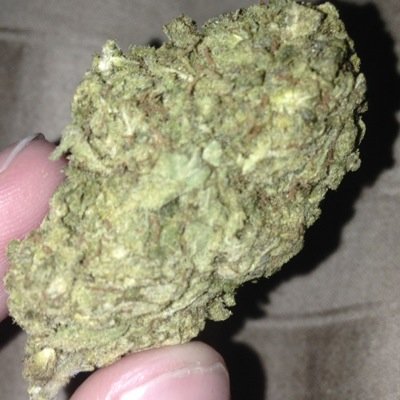 Sloots01's profile picture. Yall niggas gay. .       South dusty.