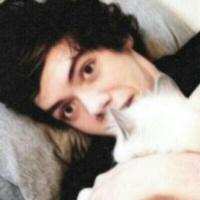 -Signs- i cant talk but i love @zaynthefakbu , he means the world to me and i love him! Please don't hurt me or him.