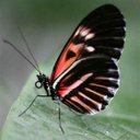 Peggy Holcomb - @PeggyHol - Twitter