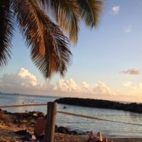 Christine COURADE (@ccourade) 's Twitter Profile