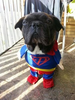 srminaky's profile picture. 