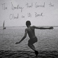 The Donkey that (@carriedthecloud) 's Twitter Profile