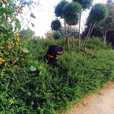 mitzu51109369's profile picture. soy yo . simple