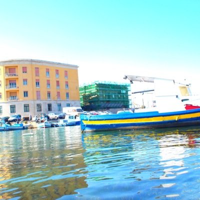 abbici's profile picture. esploratore di piatti di pasta, corridore all'indietro, studioso di nientologia, fondatore dell'accademia mataruttaminchia, medaglia d'oro .. trovata per strada