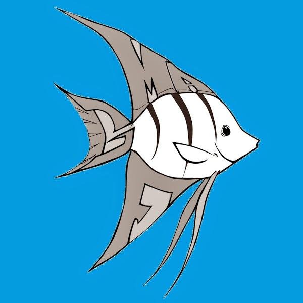 Fish Breeding, breeding fish, cichlids, tropical fish, freshwater tank, saltwater tank