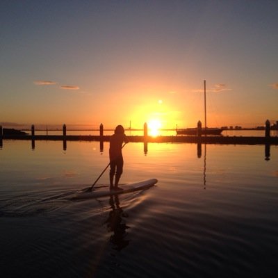 Mikey Schofield Profile