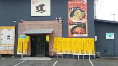 ほるもん酒屋 蓮 です。お得な情報を発信していきますのでフォローよろしくお願いいたします。営業時間 平日17時半〜0時 金、土、祝前日17時半〜2時