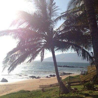 savingswithsyd's profile picture. Hawaii Couponer