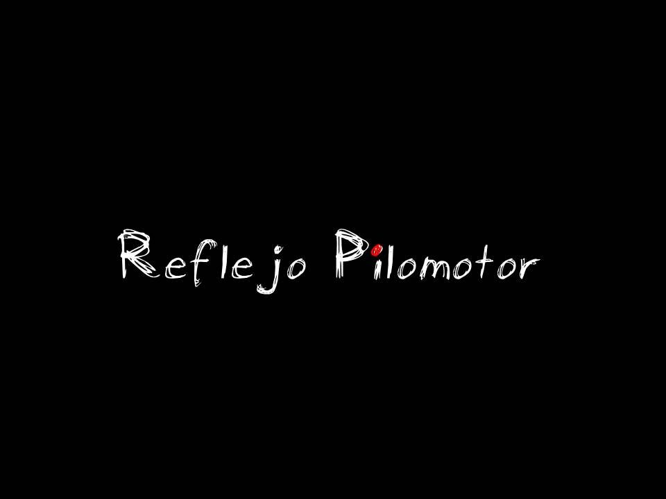 Reflejo Pilomotor Profile