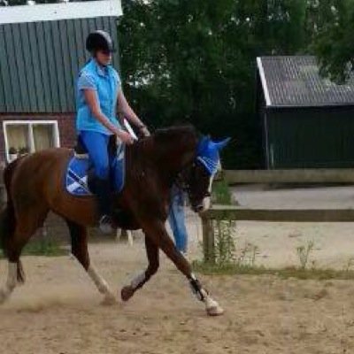 ღ~I love my horse~♘~15 jaar~Paardrijden!~Food!! :D~Gtst~Gelderland~ @maureentjuhhh,@meghaniee,@ninaaa zijn mijn besties~ღ
