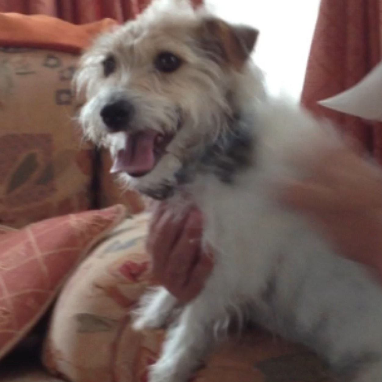 Deblass03's profile picture. 