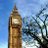 financialnewsrm's profile image