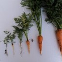 Fernando Cofre Santo - @CofreSanto - Twitter