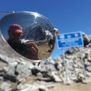 Rob Ward - @jetsetrob - Twitter