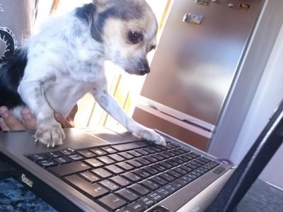 Mortrerus's profile picture. 