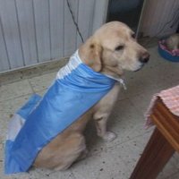 Cleaaudi2o Benitez (@claubentz) 's Twitter Profile