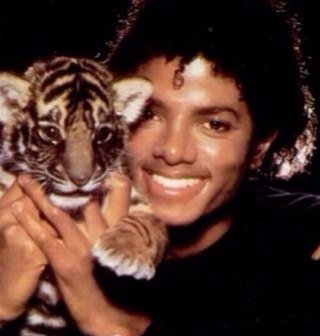 Hello im katie i like michael jackson,my little pony,minecraft,1D,callofduty,and more!Please follow me if u like these things #moonwalker❤❤❤#mjfam