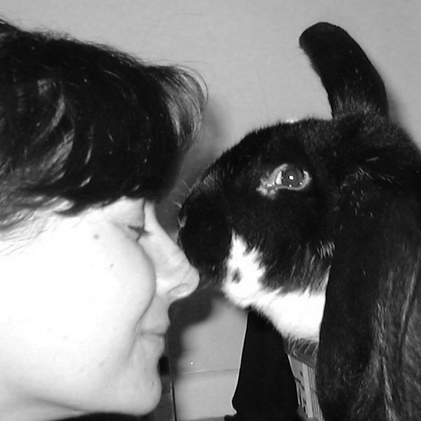 Lecturer/Researcher/ESRC PostDoc. Interested in animal welfare and sentience, anthrozoology and science news.