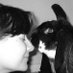 Caroline Spence (@smidgespence) Twitter profile photo