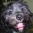 Alan_Kessler_'s profile image