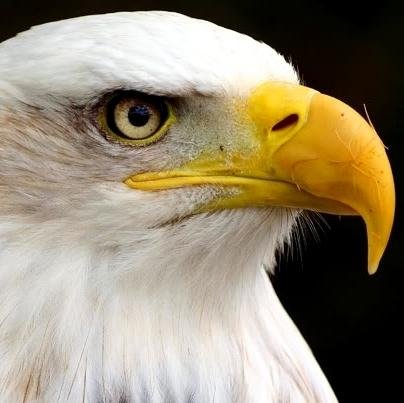 Relacje z ciekawych debat, spotkań autorskich i wydarzeń patriotycznych oraz ich zapowiedzi, recenzje i opinie blogerów portalu Blogpress.pl