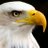 BlogpressPl's profile image