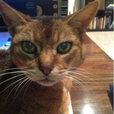 Does not like the Dogs of War or climate change deniers. Would like to see Putin get what he deserves. A hideously painful demise.