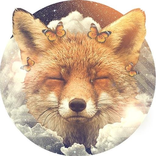 Kiseliova_K's profile picture. если бы я могла,я бы улетела